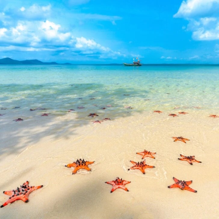 Lý do báo Mỹ gọi nơi này là 'Hawaii' của Việt Nam - Ảnh 1.